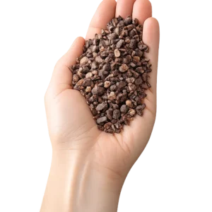 NIBS DE CACAO